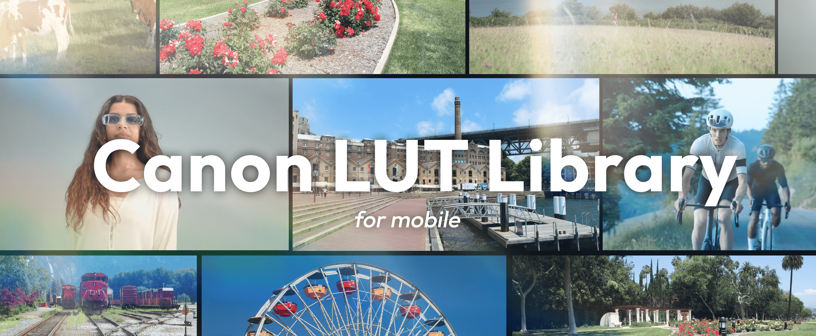 Canon LUT(Look up table) Library for mobile